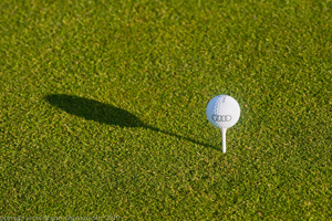 Audi quattro Cup 2014 