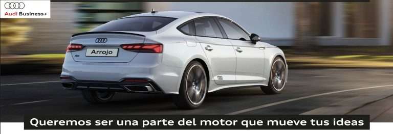 Audi Business+: Impulsando tu Negocio con Soluciones Personalizadas en Arrojo Audi