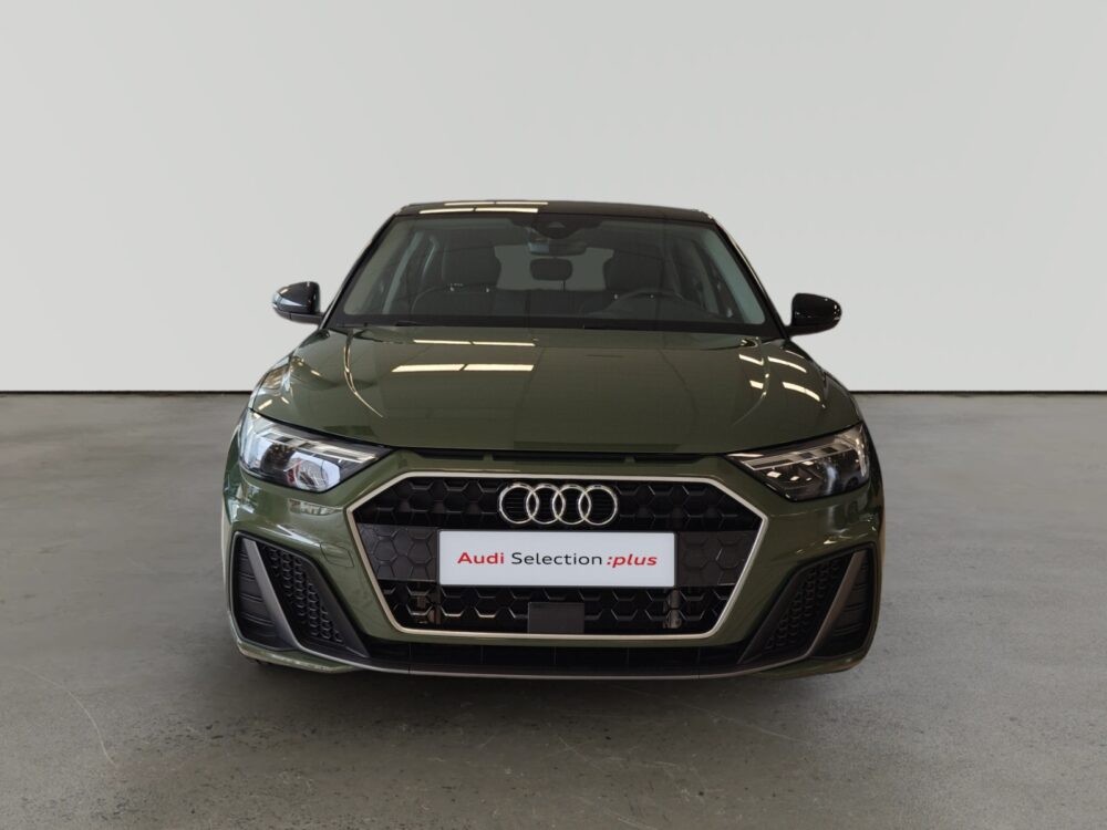 oem_vo_arrojo_10044_202511172100342.jpg