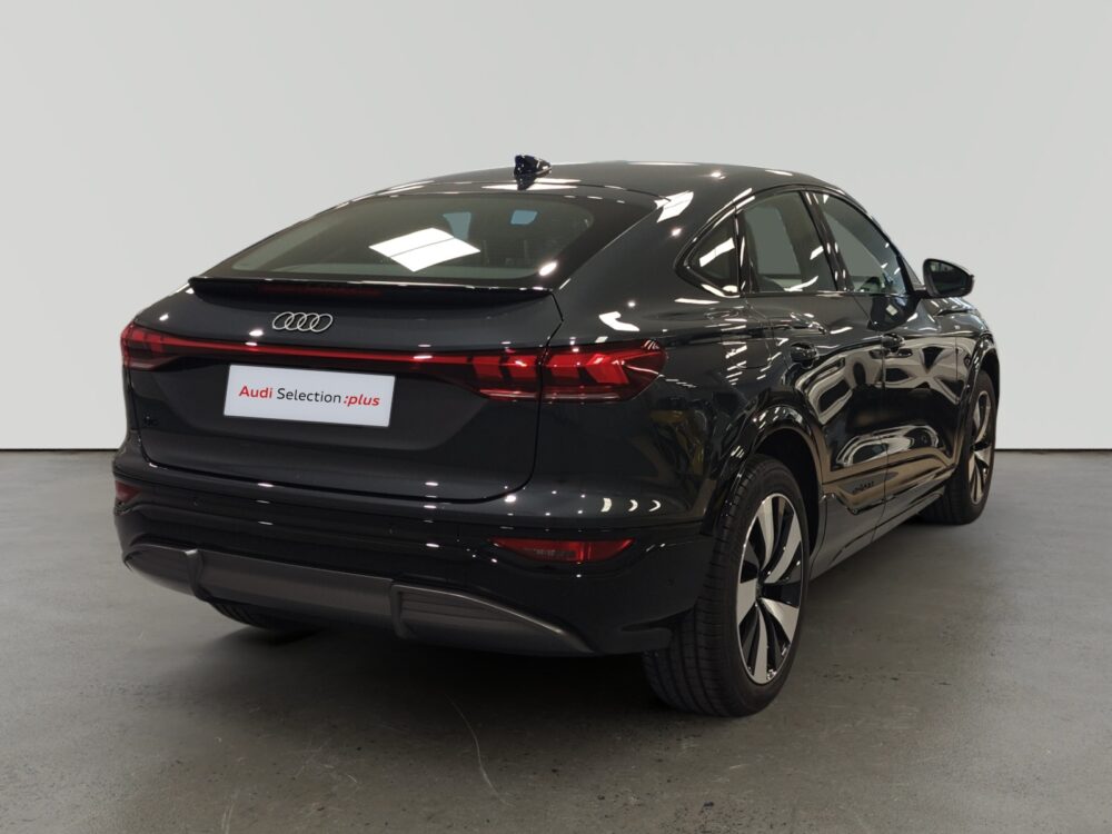 oem_vsn_arrojo_13007_2026033021001618.jpg