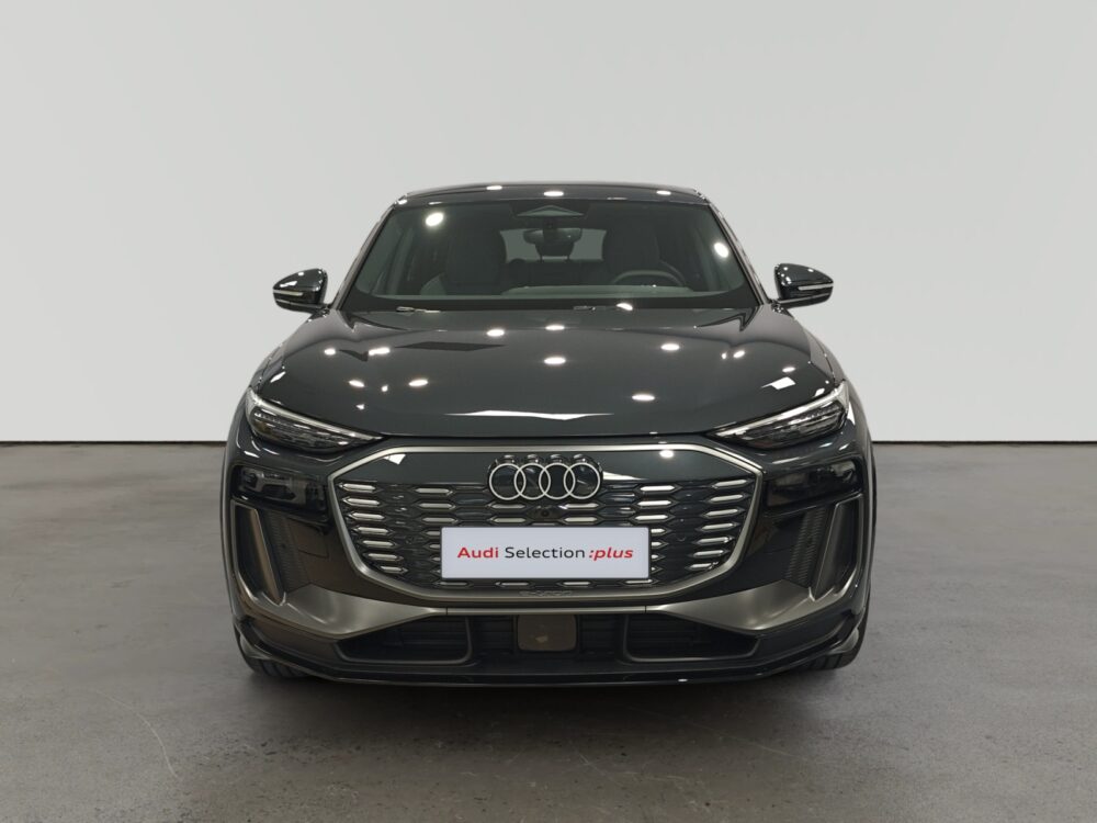 oem_vsn_arrojo_13007_2026033021001619.jpg