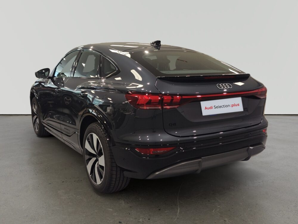 oem_vsn_arrojo_13007_202603302100162.jpg