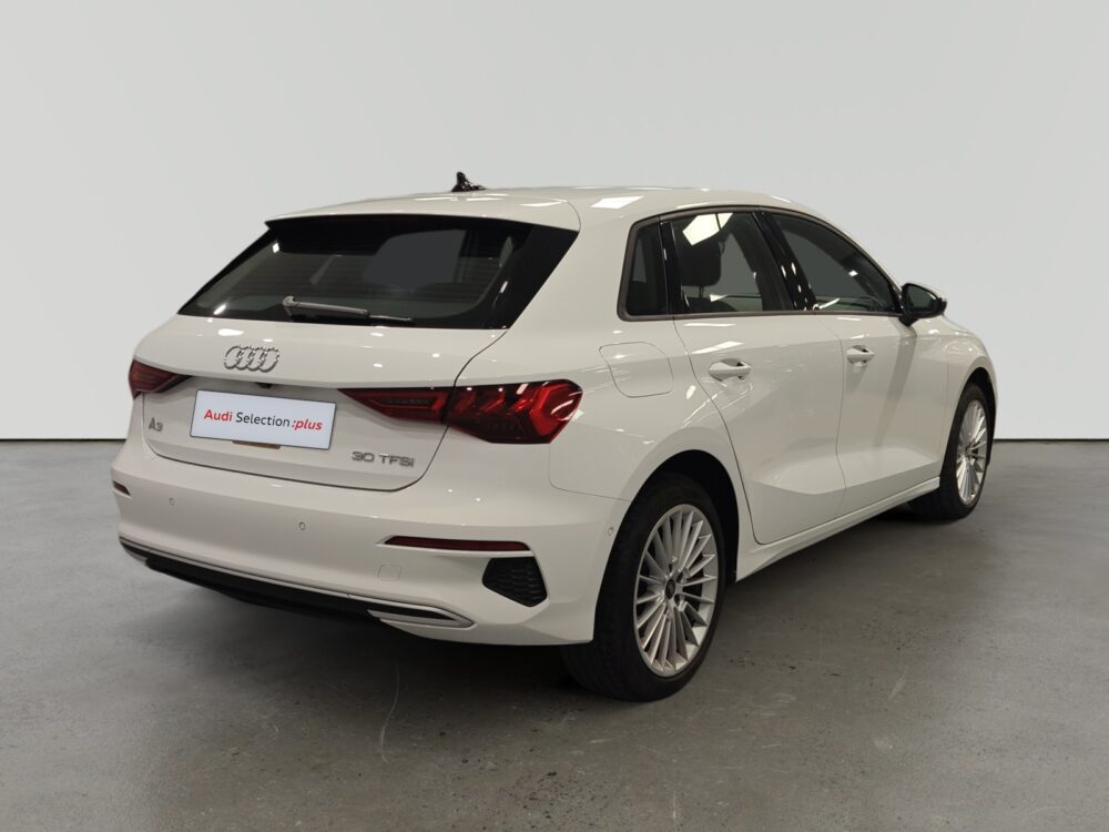 oem_vo_arrojo_10190_2026021614152018-4.jpg