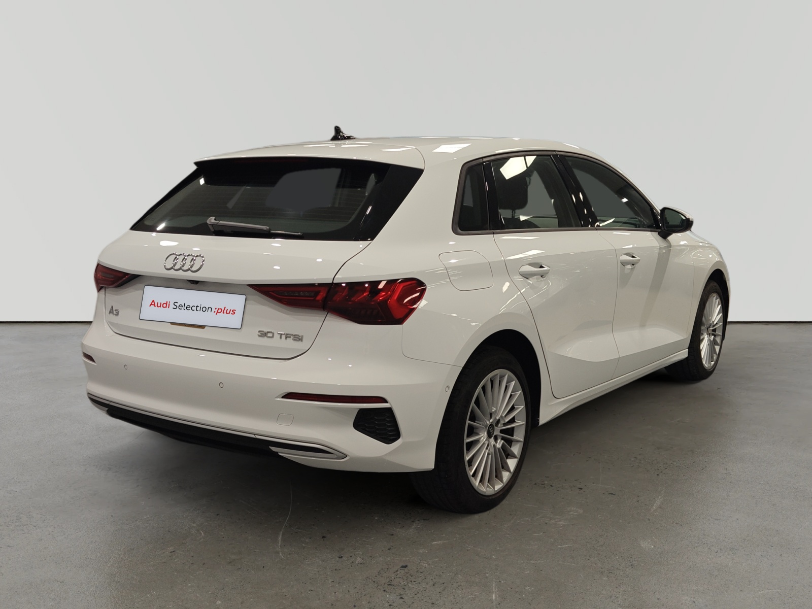 oem_vo_arrojo_10190_2026021614152018-4.jpg