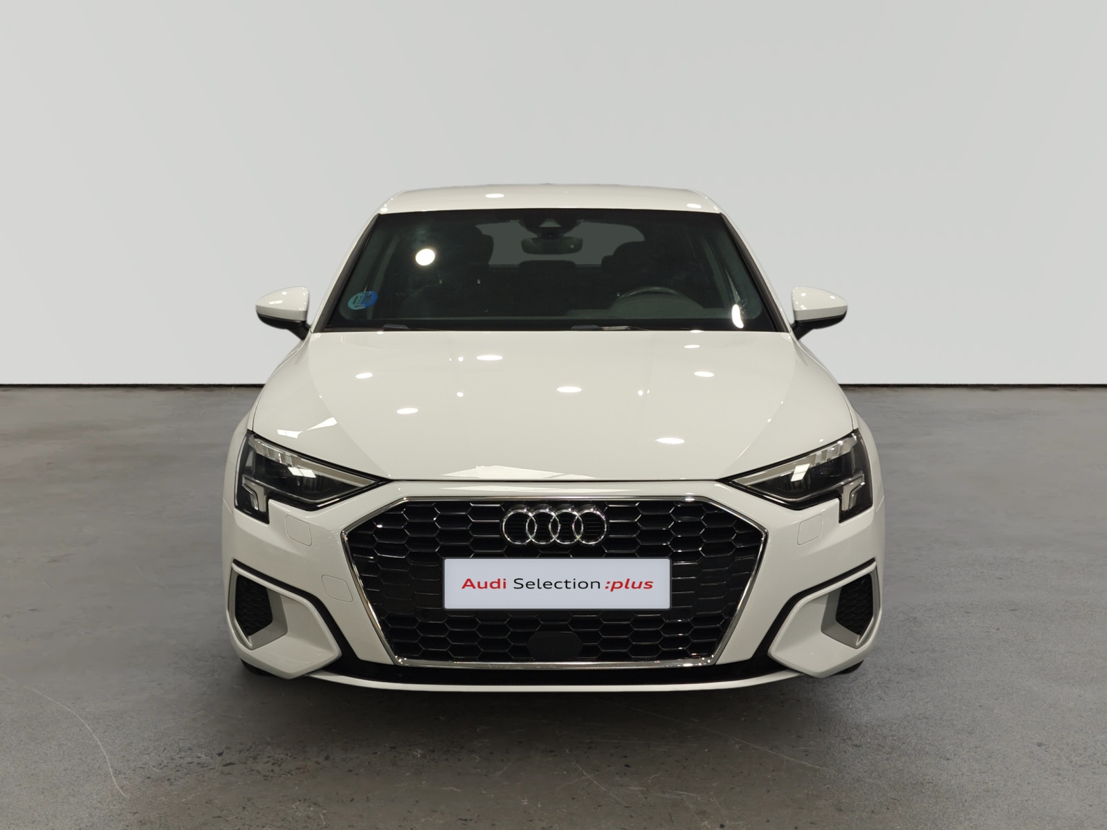 oem_vo_arrojo_10190_2026021614152019-4.jpg