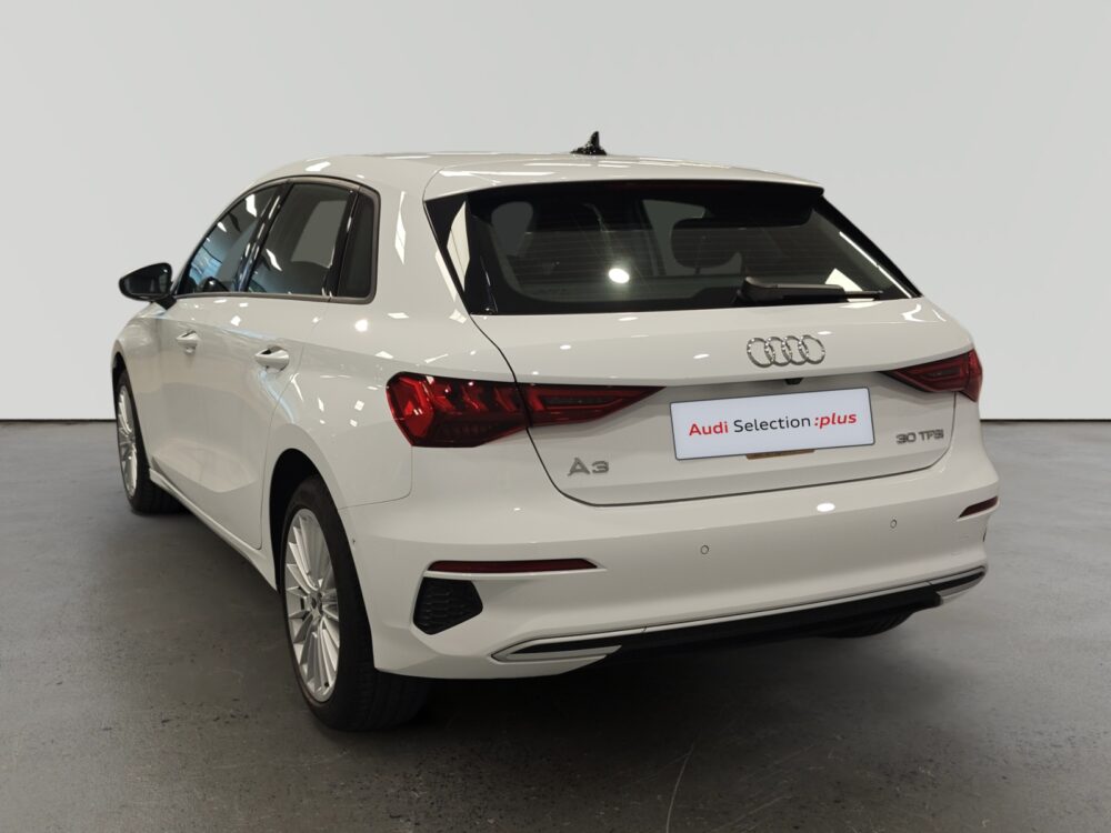 oem_vo_arrojo_10190_202602161415202-4.jpg