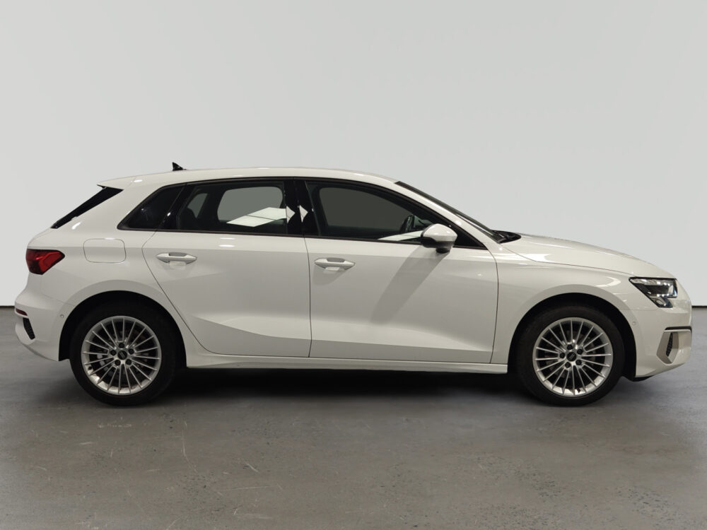 oem_vo_arrojo_10190_202602161415203-4.jpg