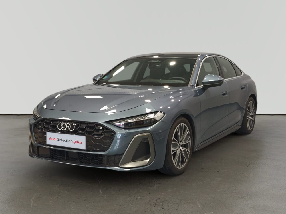 oem_vo_arrojo_10206_2026020214152421-3.jpg