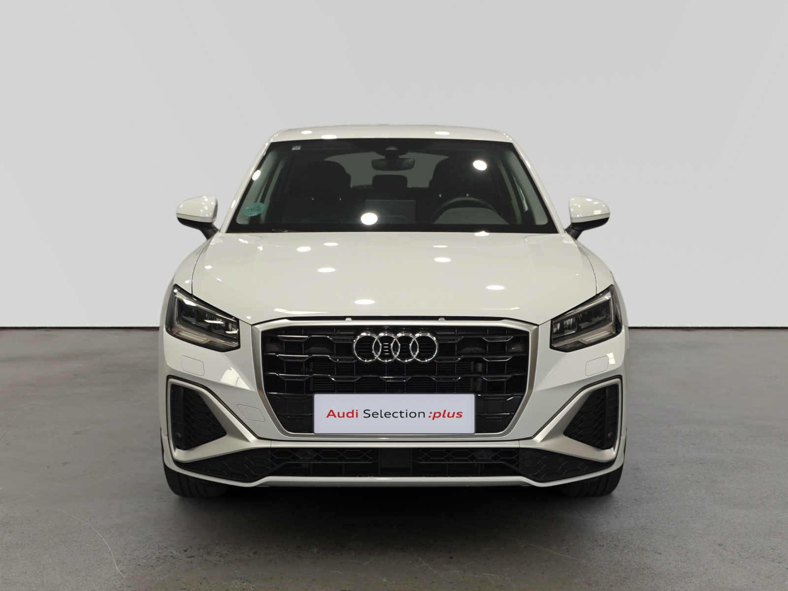 oem_vo_arrojo_10212_2026022314151919-1.jpg