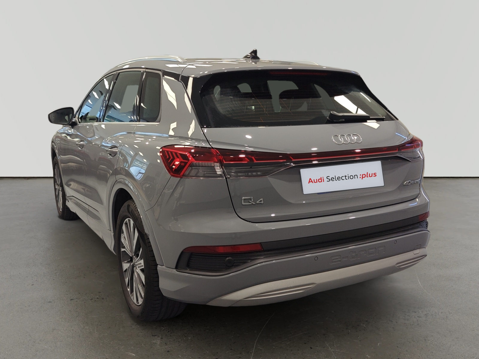 oem_vo_arrojo_10410_202603311415262.jpg