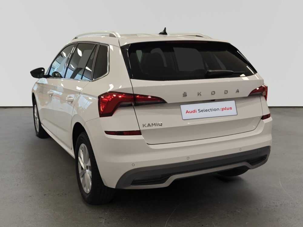 oem_vo_arrojo_9783_202512012100122.jpg