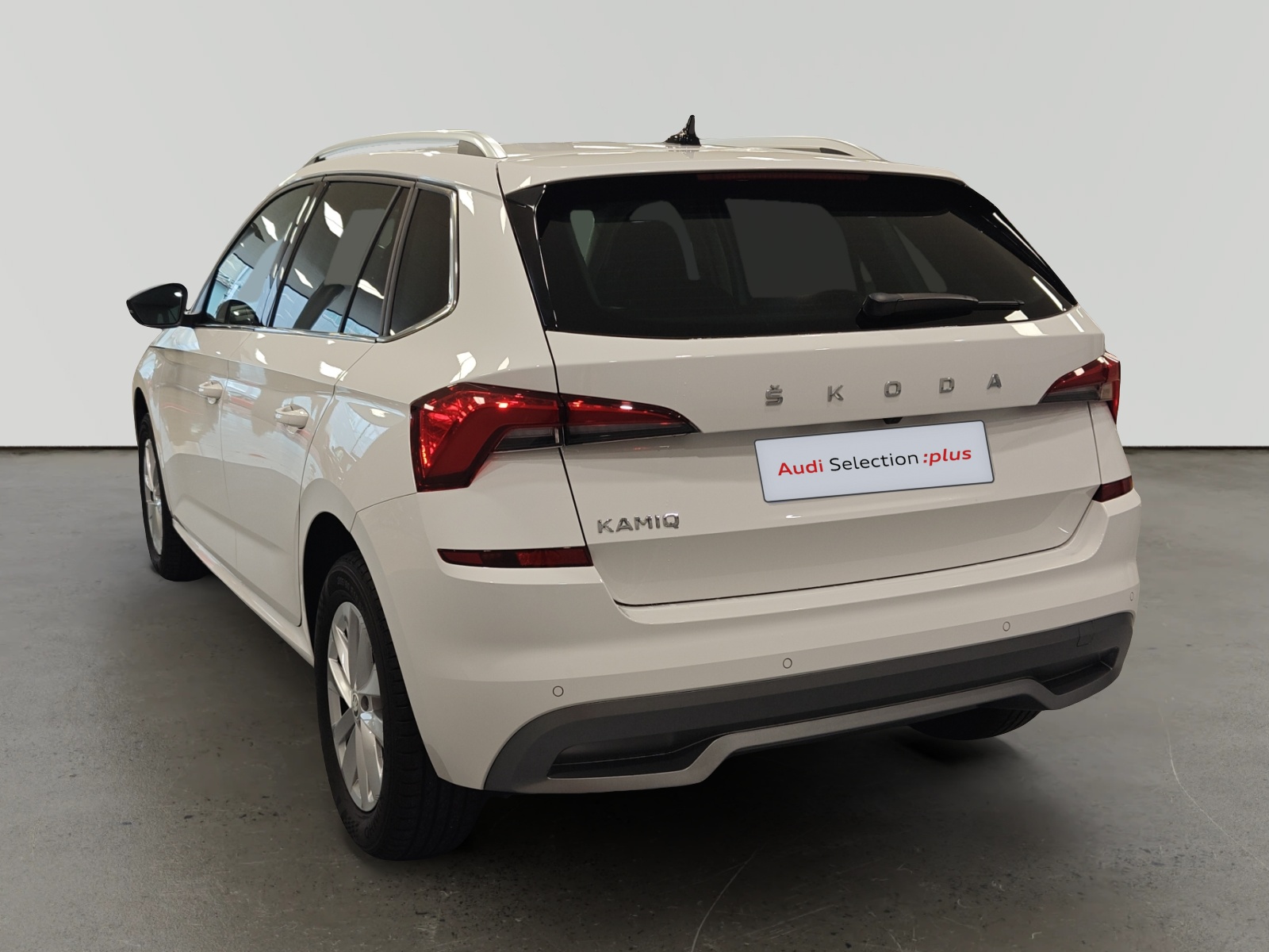 oem_vo_arrojo_9783_202512012100122.jpg