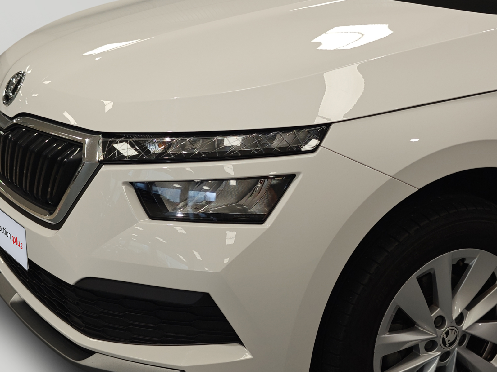 oem_vo_arrojo_9783_2025120121001222.jpg
