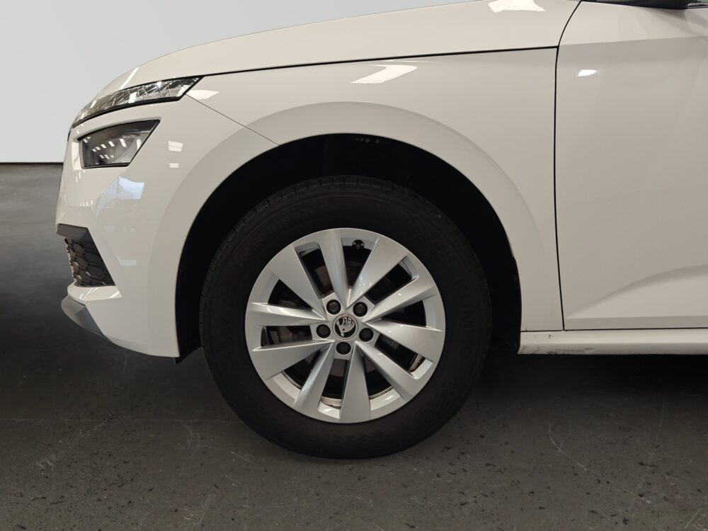 oem_vo_arrojo_9783_202512012100128.jpg