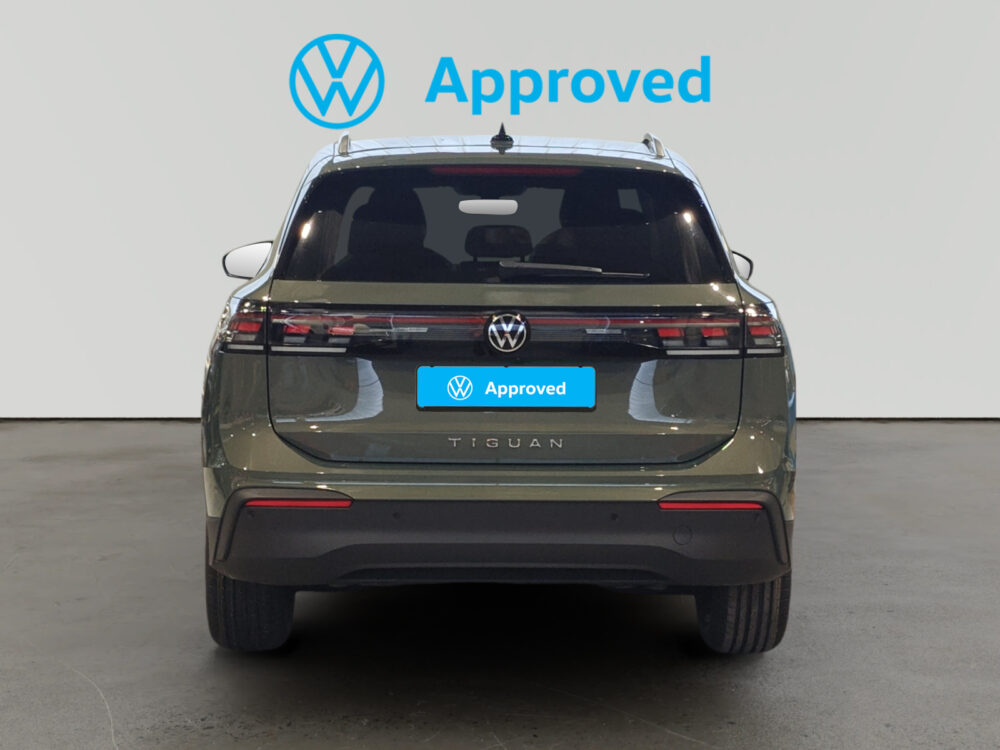 oem_vsn_arrojo_12733_2026021314154023.jpg