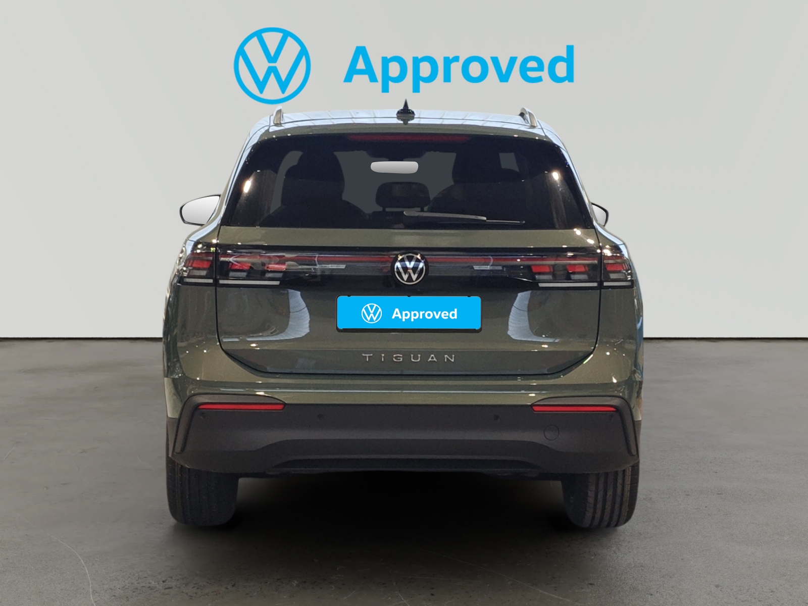oem_vsn_arrojo_12733_2026021314154023.jpg