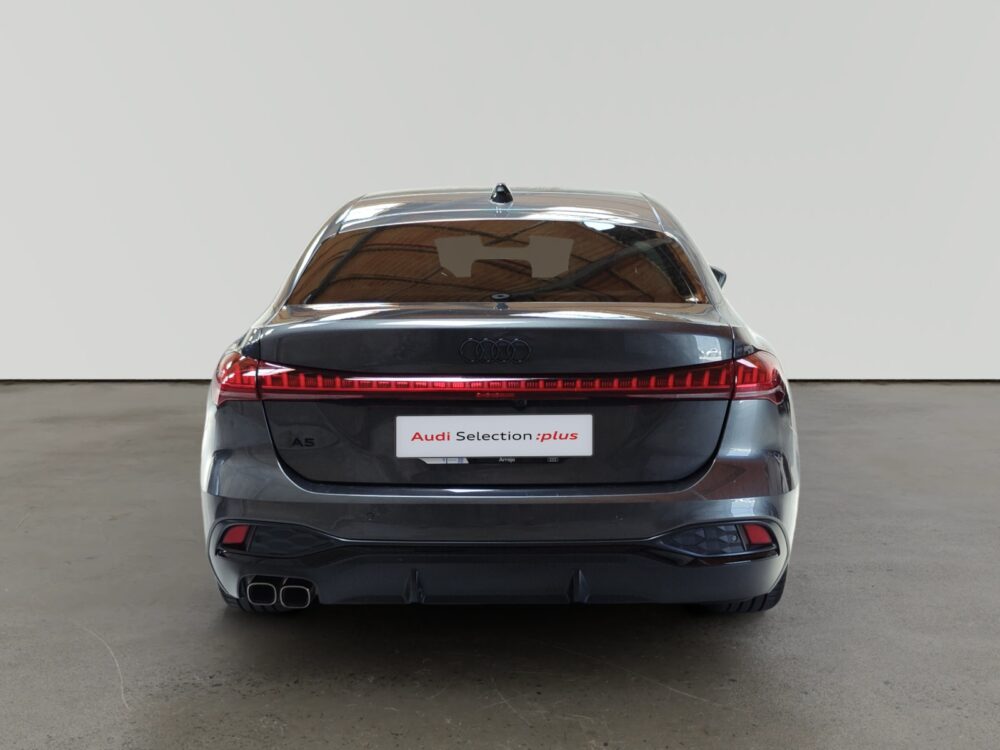 oem_vo_arrojo_10208_2026061514152023-2.jpg