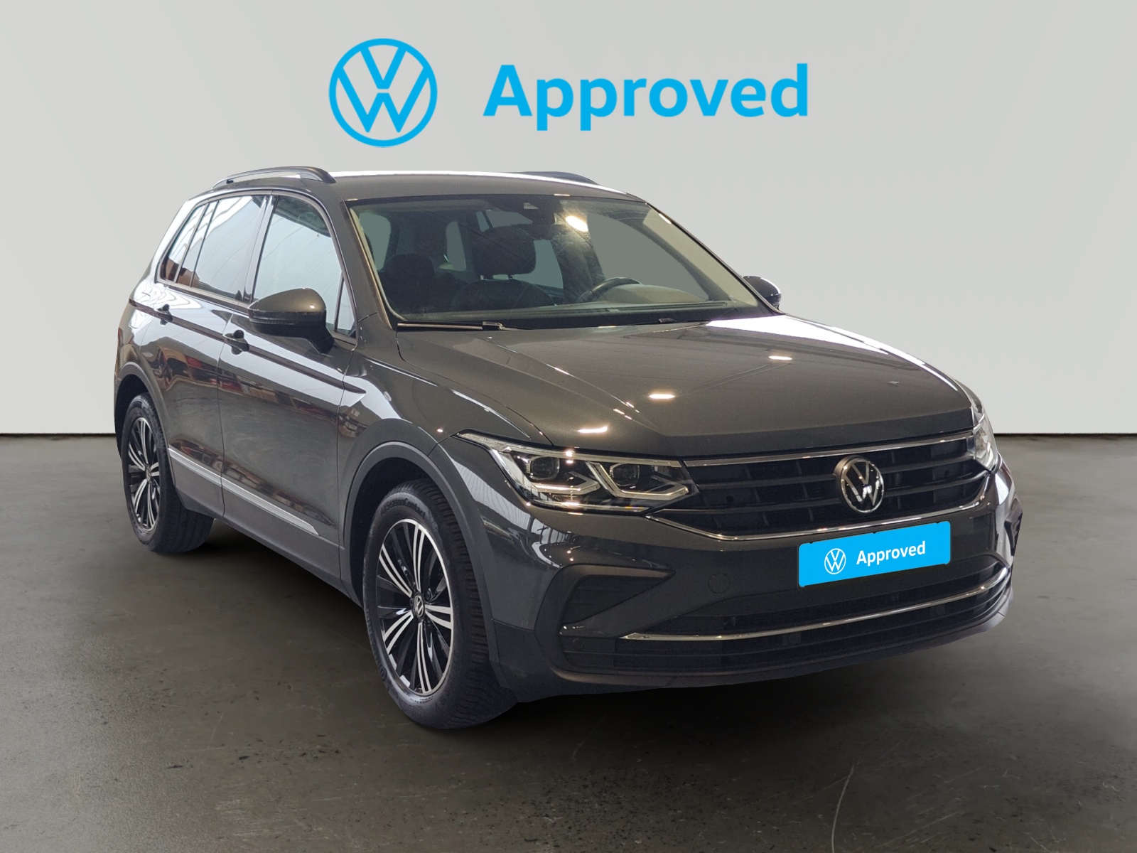 oem_vo_arrojo_10458_202604181415231-1.jpg