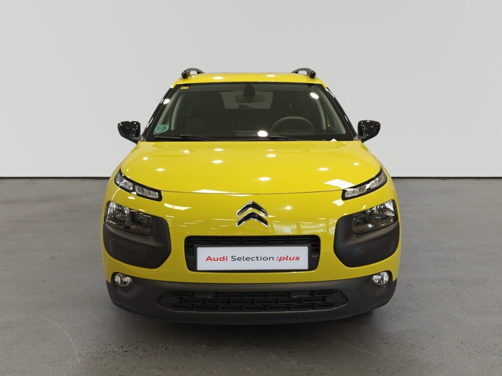 oem_vo_arrojo_10586_2026072014152119.jpg