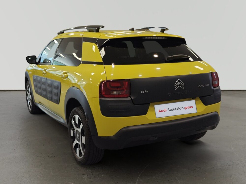 oem_vo_arrojo_10586_202607201415212.jpg