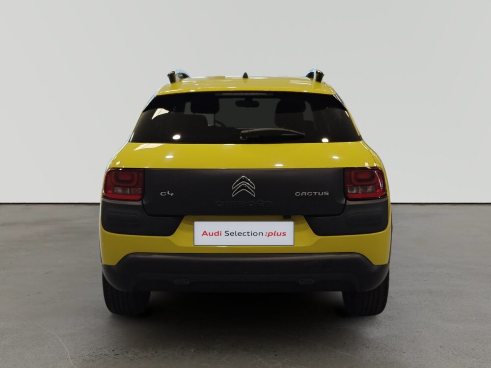 oem_vo_arrojo_10586_2026072014152123.jpg