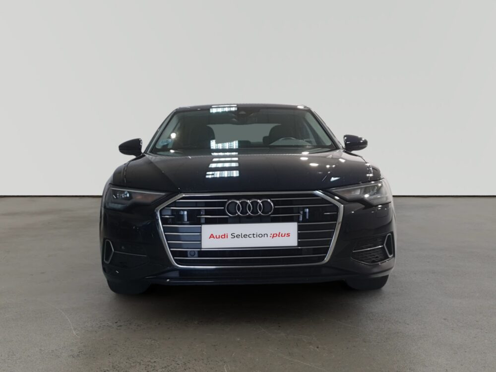 oem_vo_arrojo_9909_202509050815162.jpg