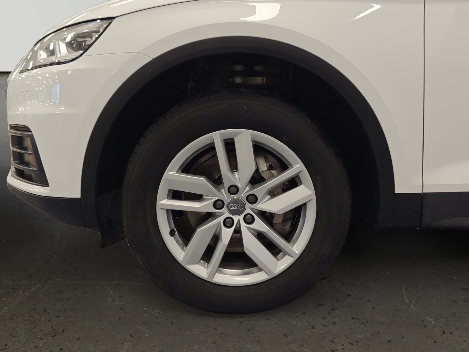 oem_vo_arrojo_10072_202512081415168.jpg