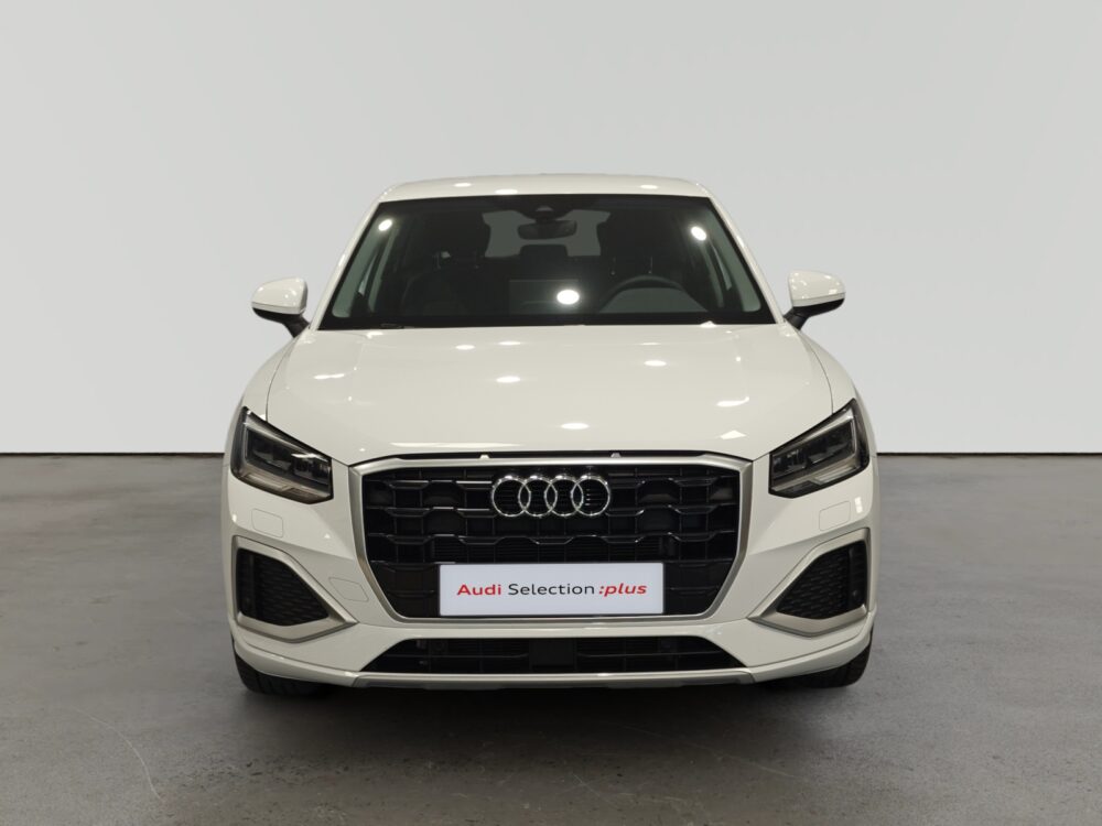 oem_vo_arrojo_10331_2026031614151619.jpg