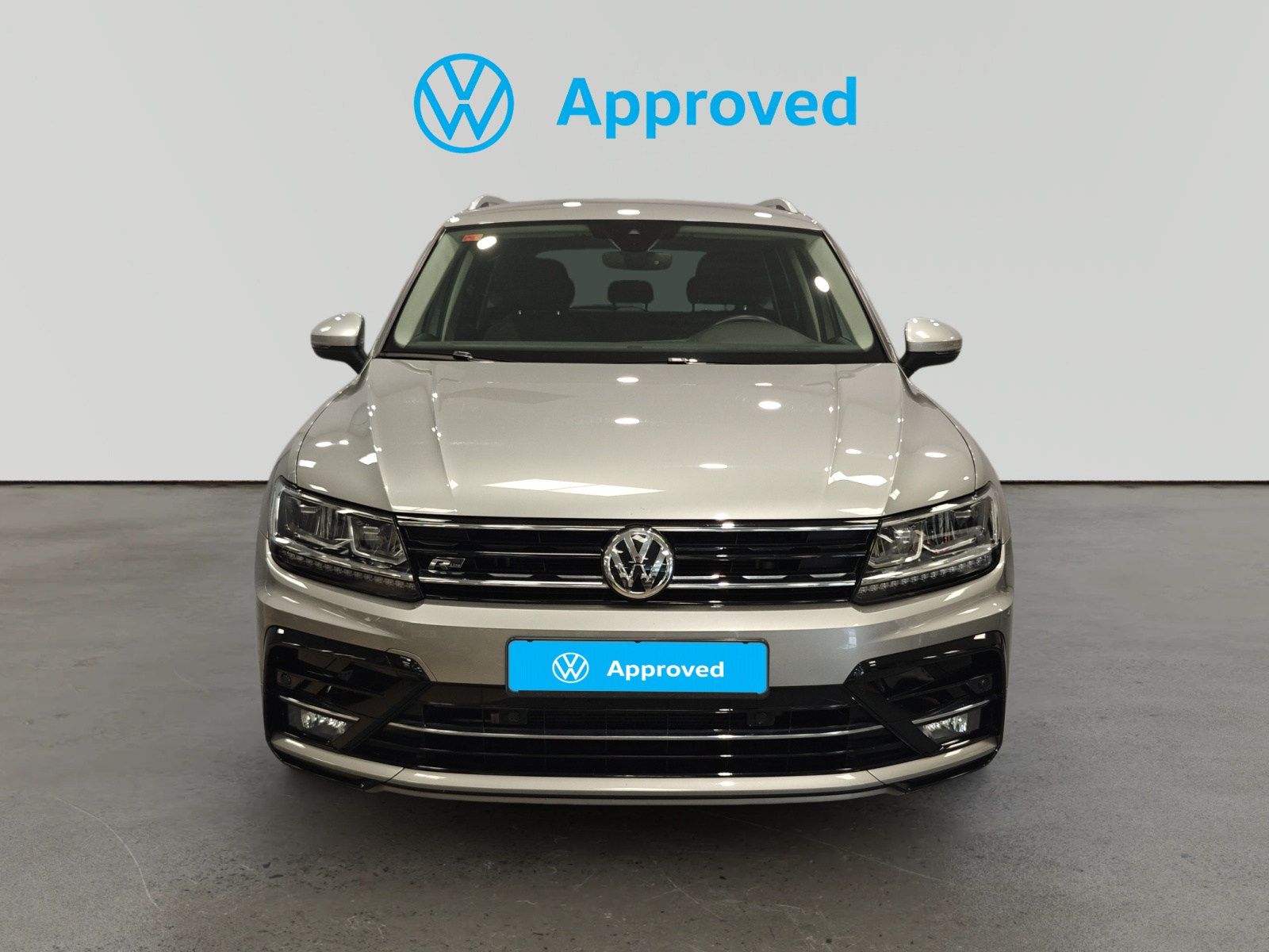 oem_vo_arrojo_10644_2026081421001819.jpg