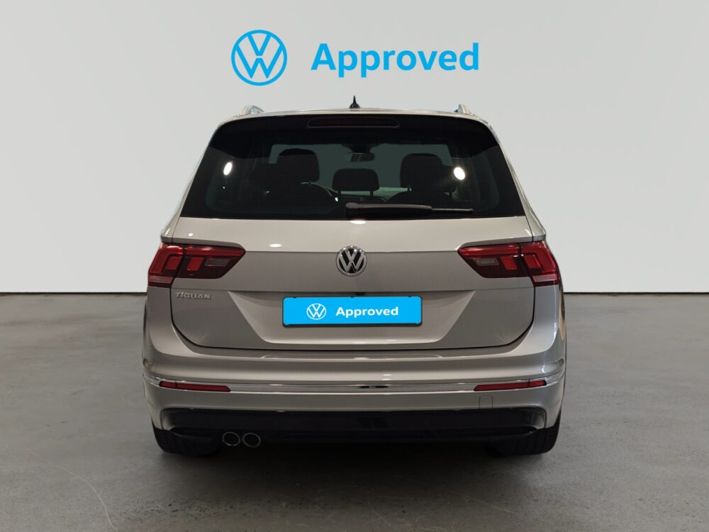 oem_vo_arrojo_10644_2026081421001823.jpg