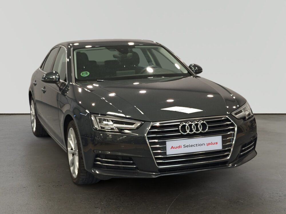 oem_vo_arrojo_10681_202608072100201.jpg