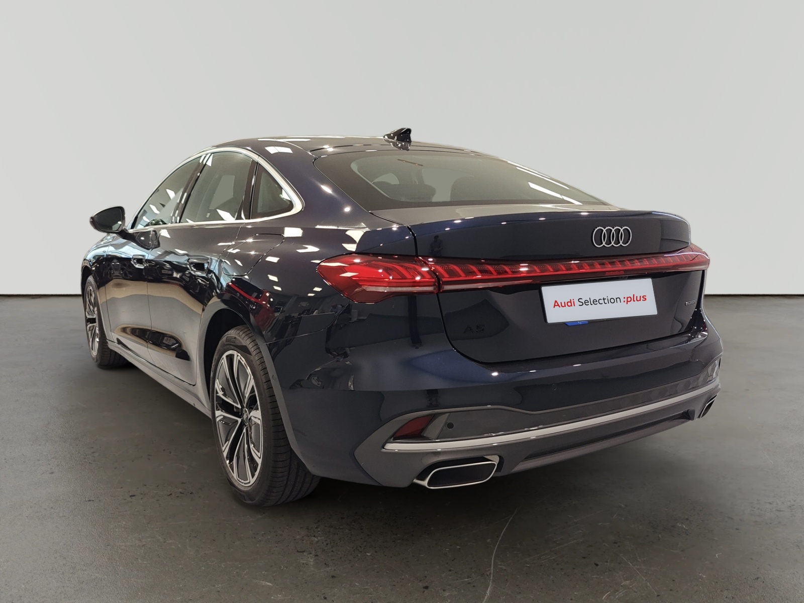 oem_vsn_arrojo_13293_202608071415252.jpg