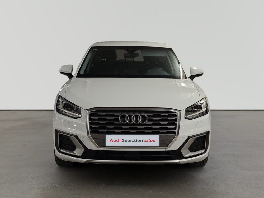 oem_vo_arrojo_10811_2026101521002019.jpg