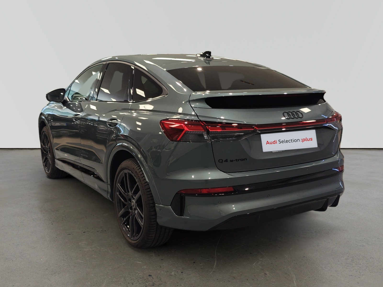 oem_vsn_arrojo_13876_202609141415172.jpg