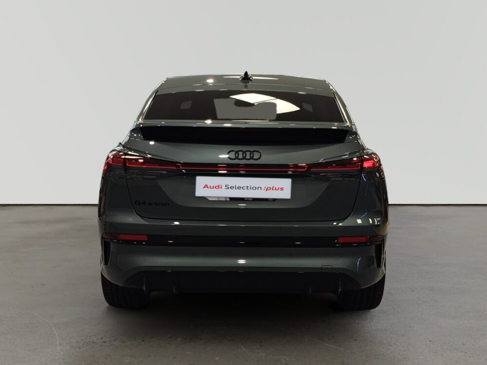 oem_vsn_arrojo_13876_2026091414151723.jpg