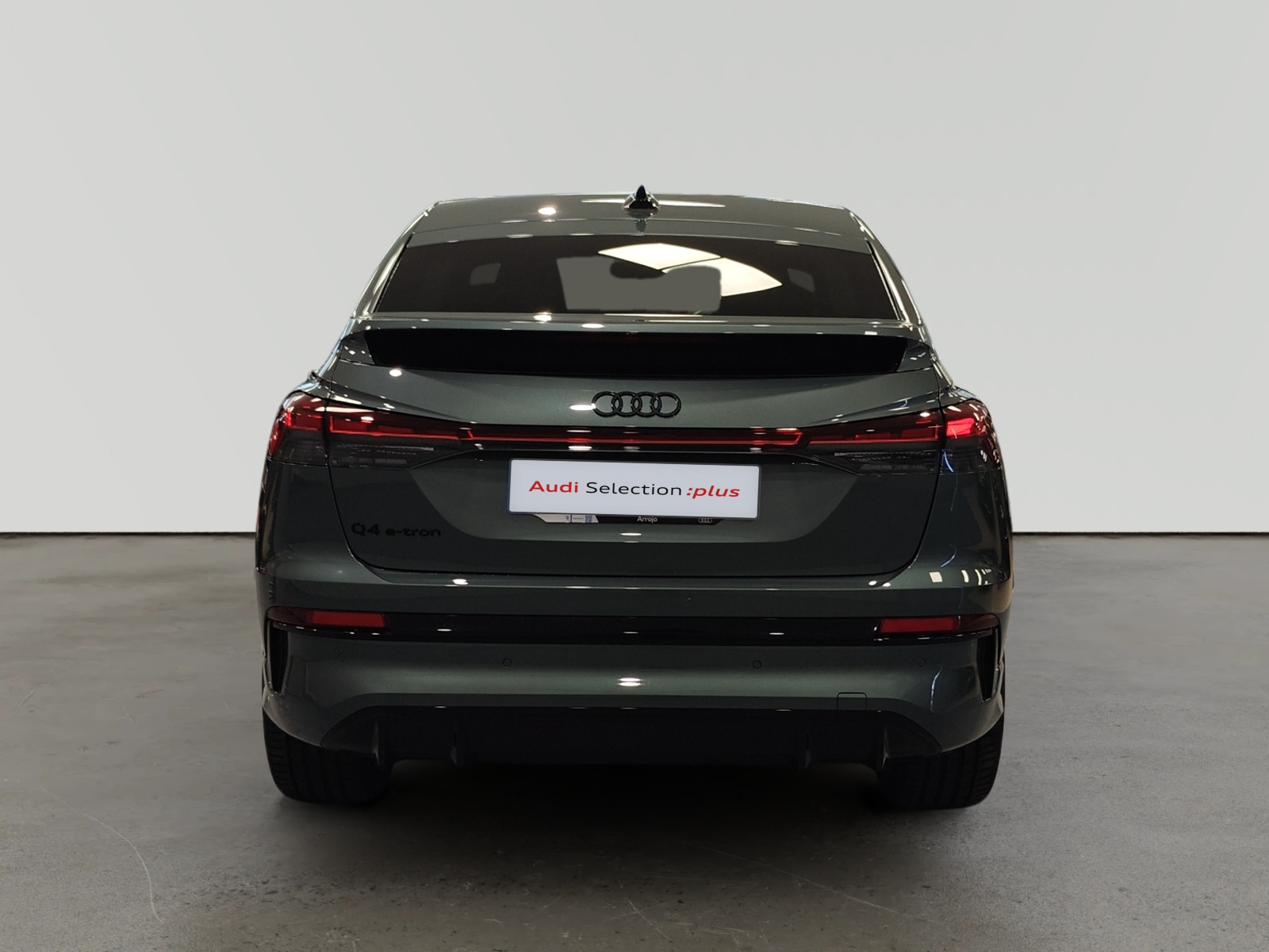oem_vsn_arrojo_13876_2026091414151723.jpg